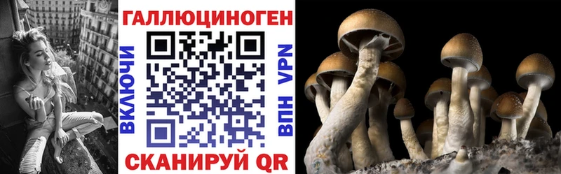 Галлюциногенные грибы мицелий  Спас-Клепики 